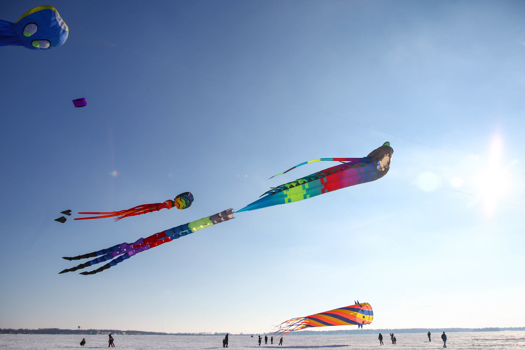 Color the Wind kite festival 02-15-2020 (65).jpg